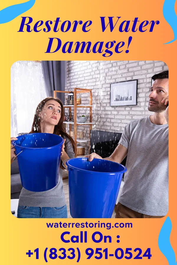 water restoration Zenith Water Removal Company Webb