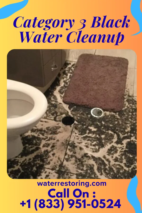 Category 3 Black Water Cleanup in Webb, MS