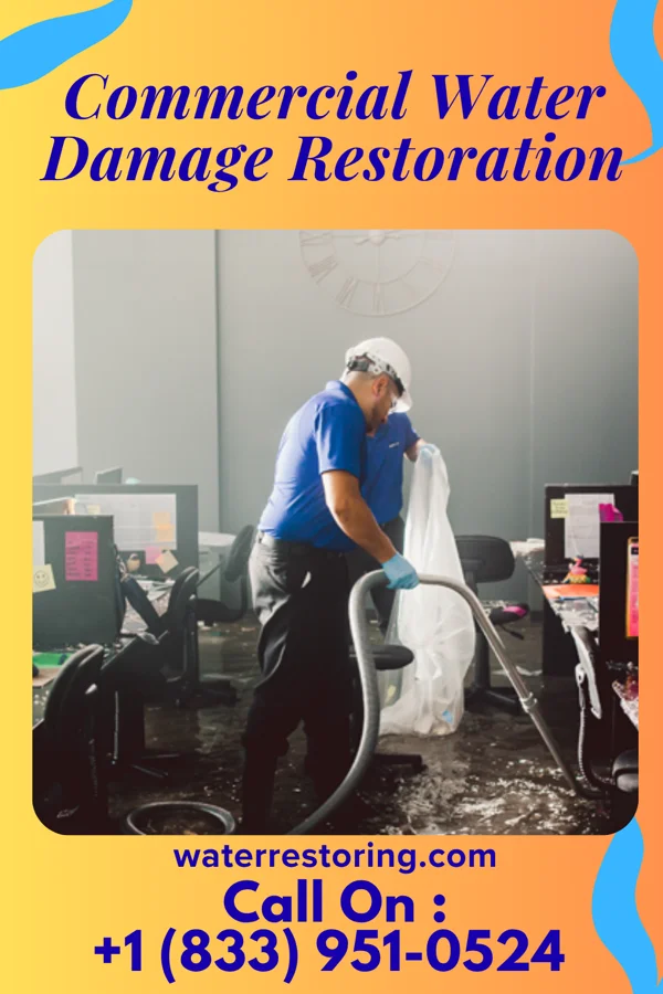 Commercial Water Damage Restoration in Webb, MS
