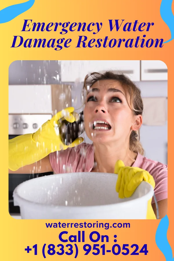 Emergency Water Damage Restoration in Webb, MS